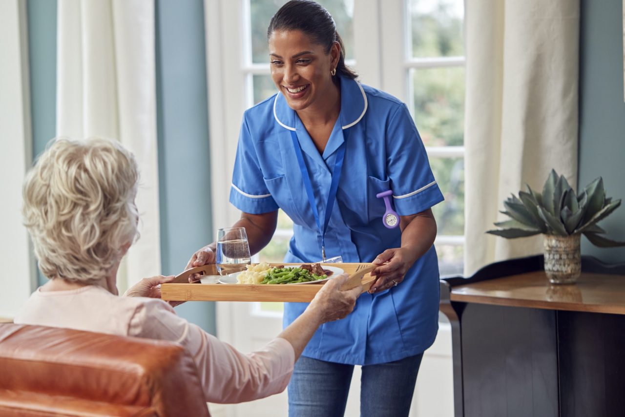 nursing agency bd